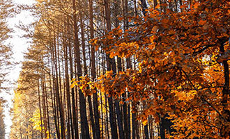 山西公安网络民警巡查执法，快手平台乱象何时休？