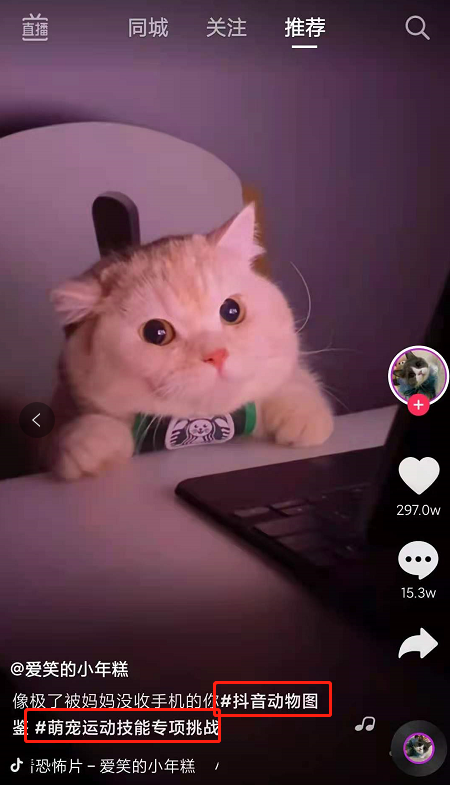 快手点赞网站微信支付便宜_dy点赞秒到账便宜_抖音点赞在线下单秒到