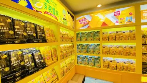 网红业务如何脱颖而出？运用 SEO 技巧提升曝光率与收入的策略探讨