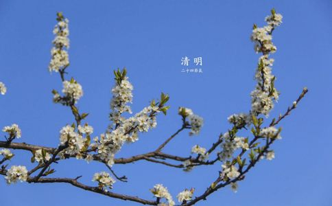 快手得钱_快手上的快币平台抽成多少_快手买站一块钱100