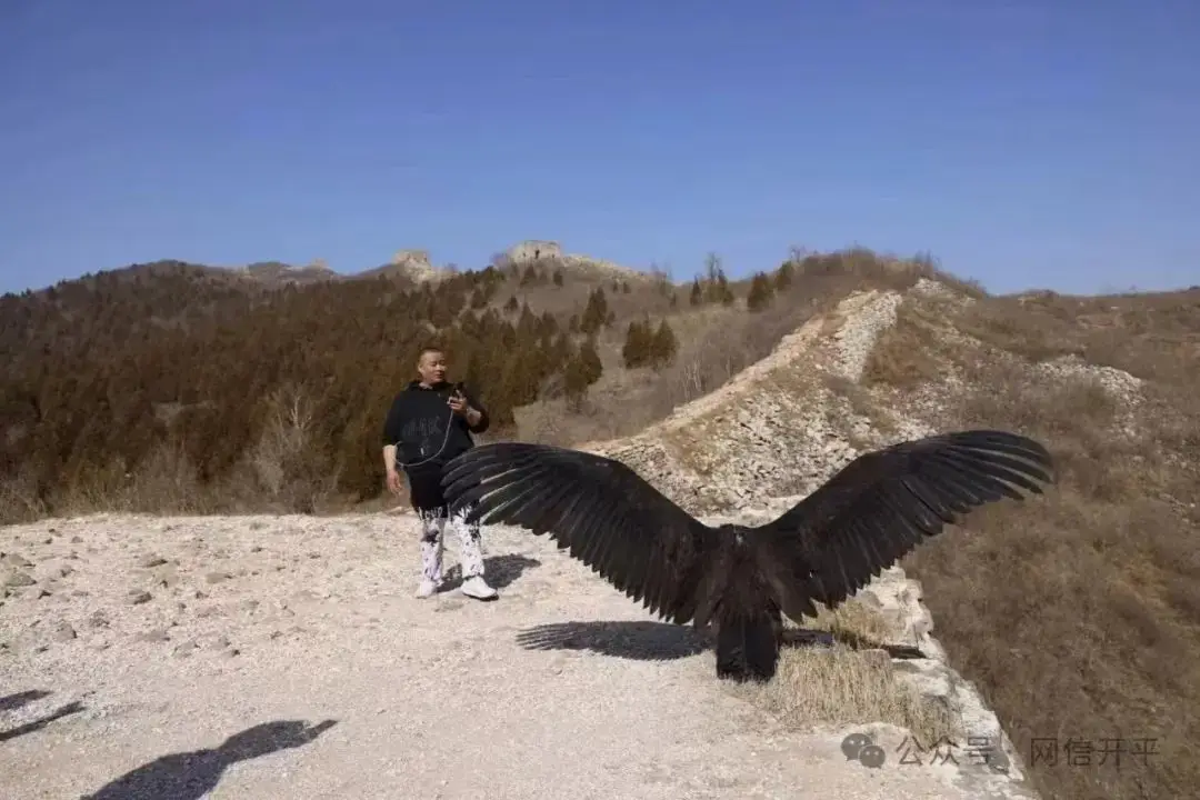 抖音低价二十四小站下单平台_抖音低价二十四小站下单平台_抖音低价二十四小站下单平台