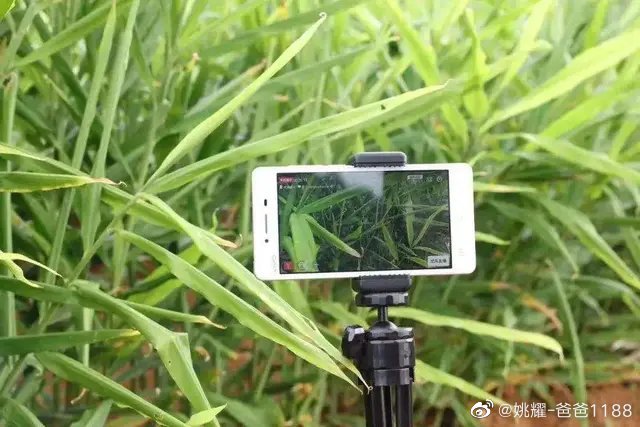 快手买热度链接_快手买热门有用么_快手买热门链接