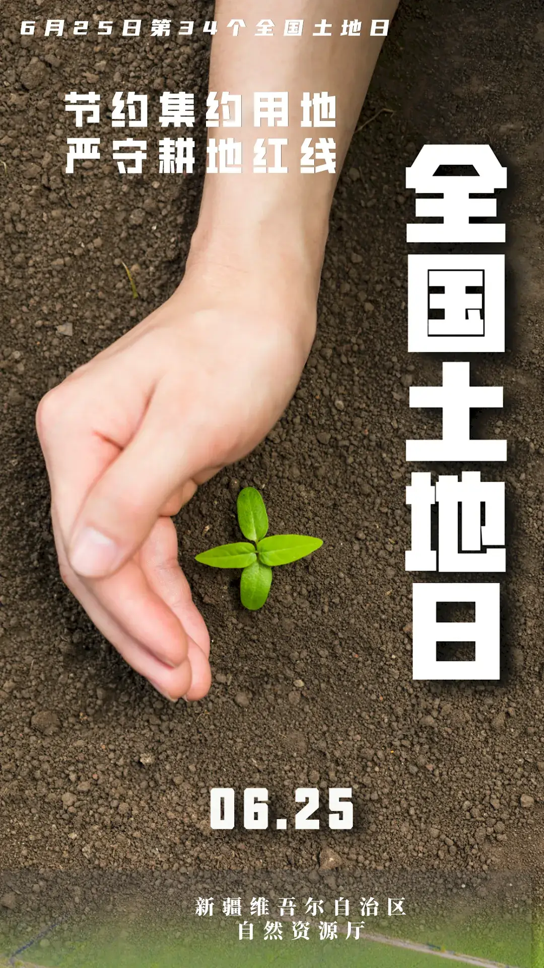 快手买站一块钱100_买快手快币_快手上的快币平台抽成多少