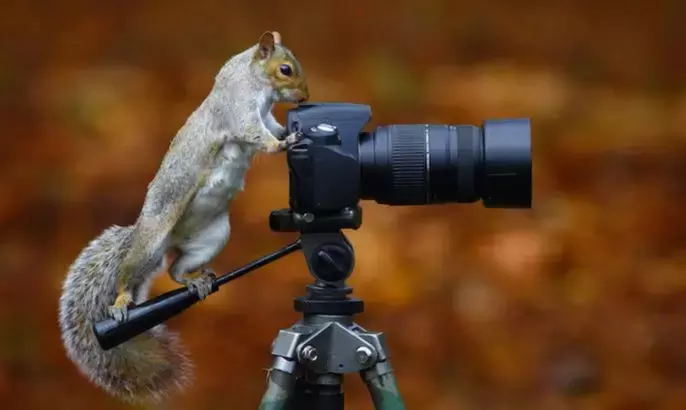 快手买热门有用么_快手买热度链接_快手买热度件