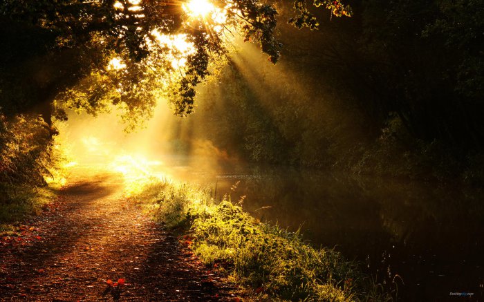 抖音点赞自助平台24小时_抖音点赞自助平台24小时_抖音点赞自助平台24小时