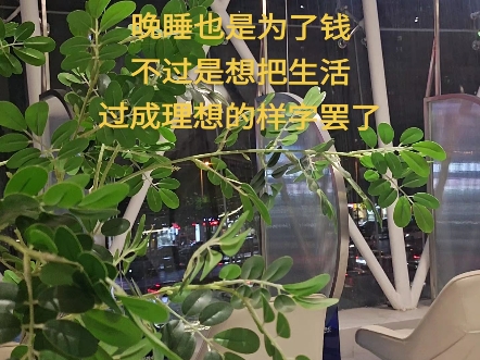 快手搛钱_快手上的快币平台抽成多少_快手买站一块钱100