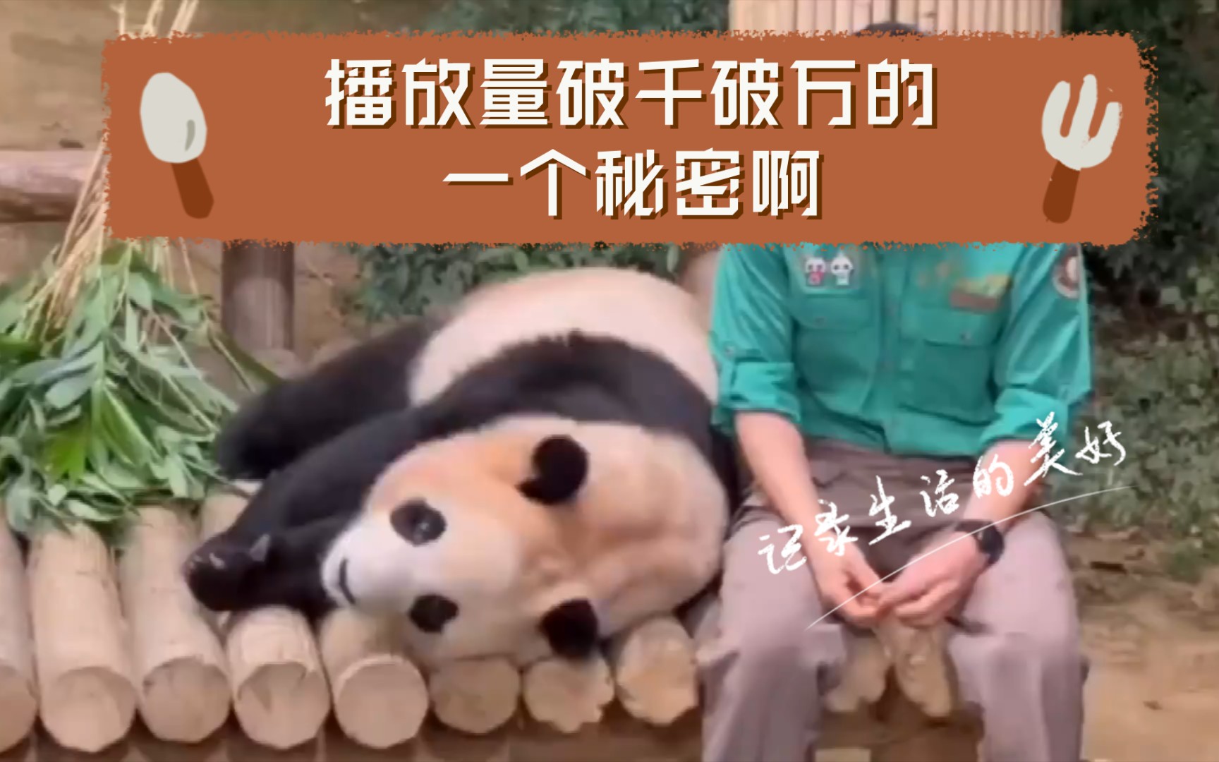 快手买热搜上热门多少钱_快手买热门会影响什么嘛_快手买热度链接