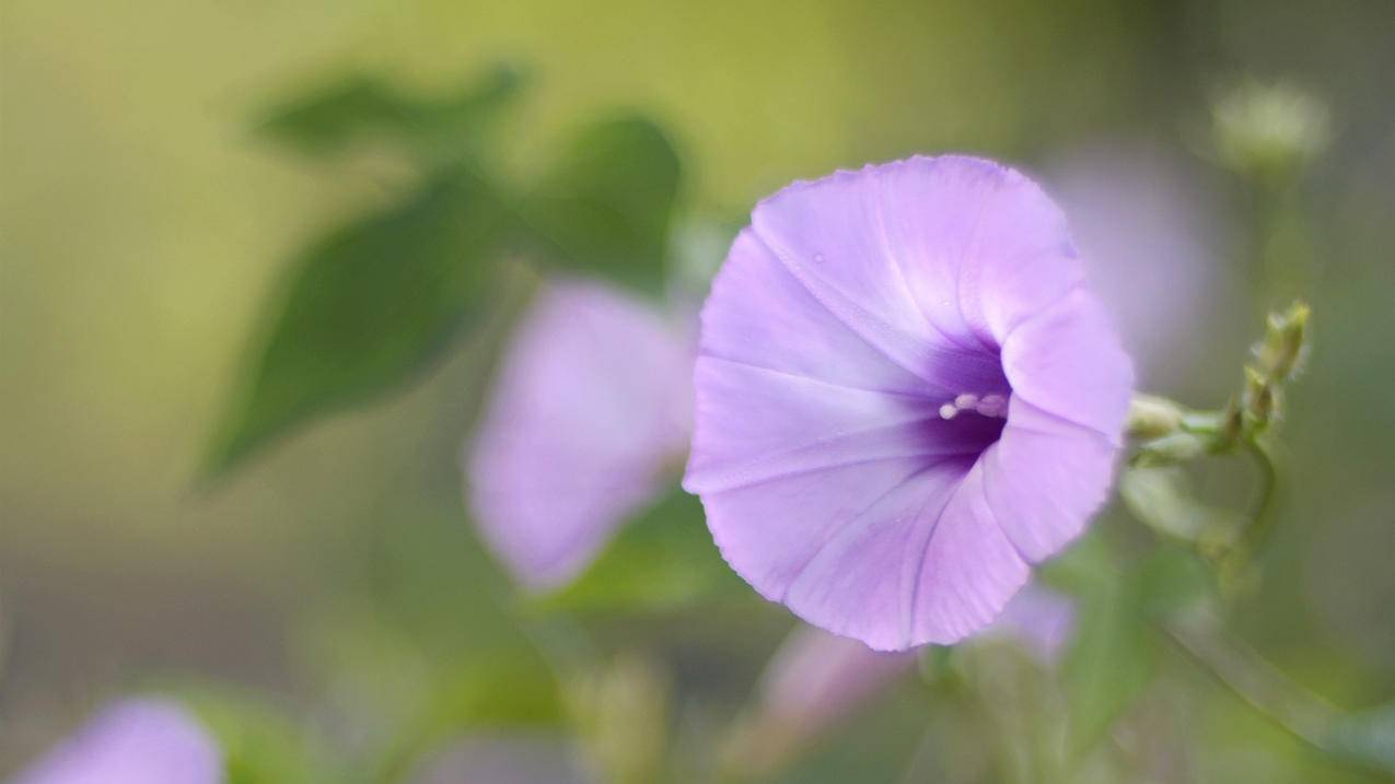 抖音点赞充钱然后返利是真的吗_抖音点赞充值秒到账全网最低_抖音点赞充钱1000是真的吗