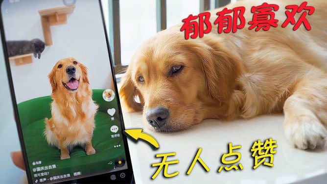 抖音点赞充值_抖音点赞充值秒到账全网最低_抖音点赞充钱1000是真的吗