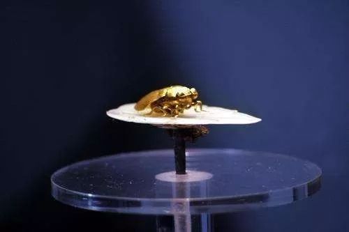 快手搛钱_快手买站一块钱100_快手得钱