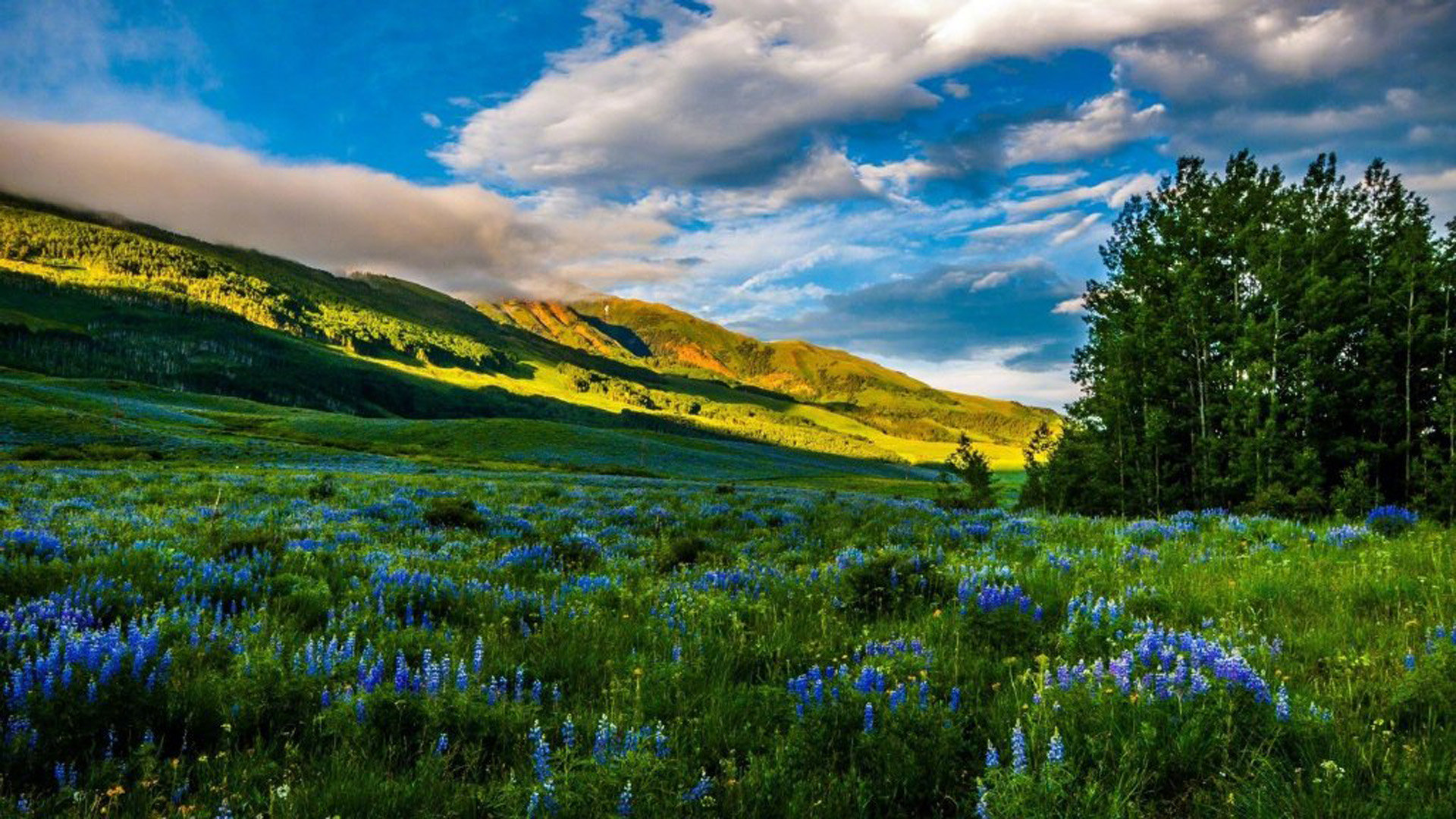 流量快手推广网站是什么_快手流量推广网站_最好的快手推广推广平台