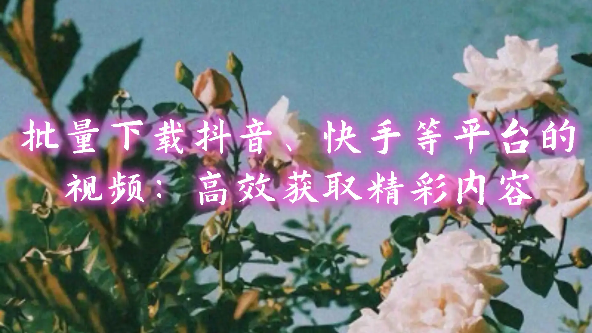 抖音里面的双击有什么用_抖音自助双击_抖音双击是什么意思怎么点