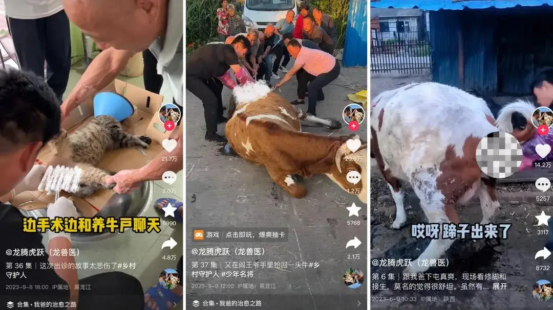 抖音点赞自助平台24小时_抖音点赞自助平台24小时_抖音点赞自助平台24小时