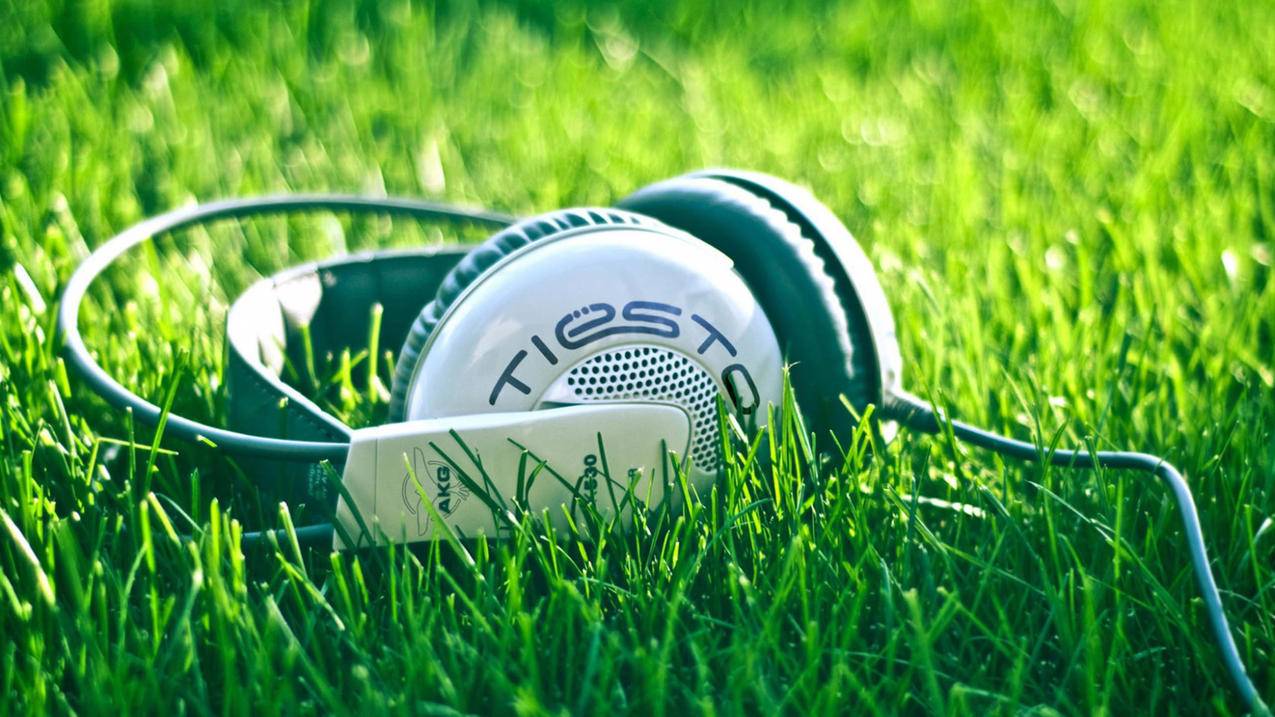 抖音里面的双击有什么用_抖音自助双击_抖音双击