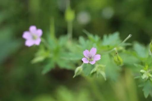 ins点赞秒取消有提示吗_dy点赞秒到账便宜_快手点赞在线自助平台秒刷