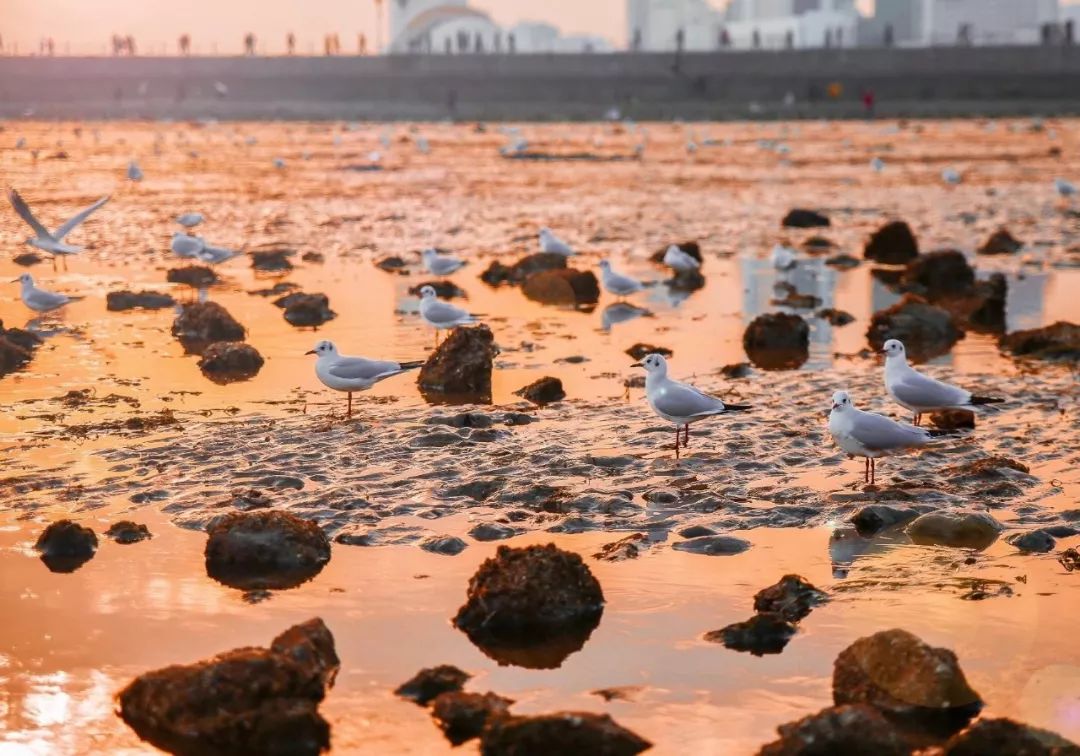 1w粉丝快手号免费_超级低价快手粉丝免费1w_有没有免费的粉丝快手