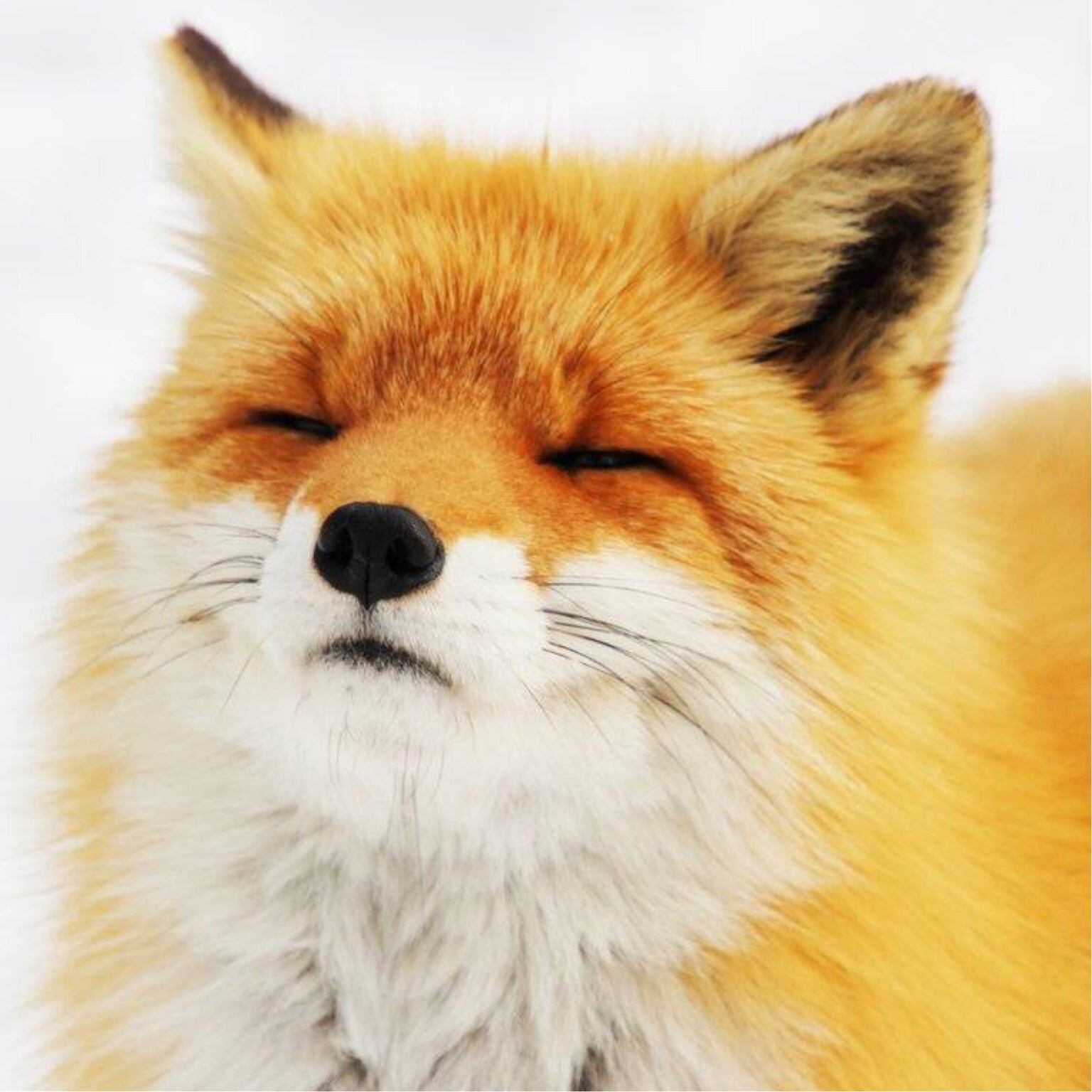 快手得钱_快手搛钱_快手买站一块钱100