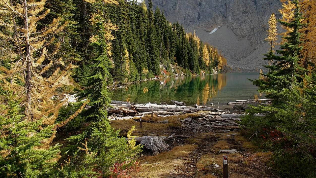 快手买热度链接_快手买热门有用么_快手买热门会影响什么嘛