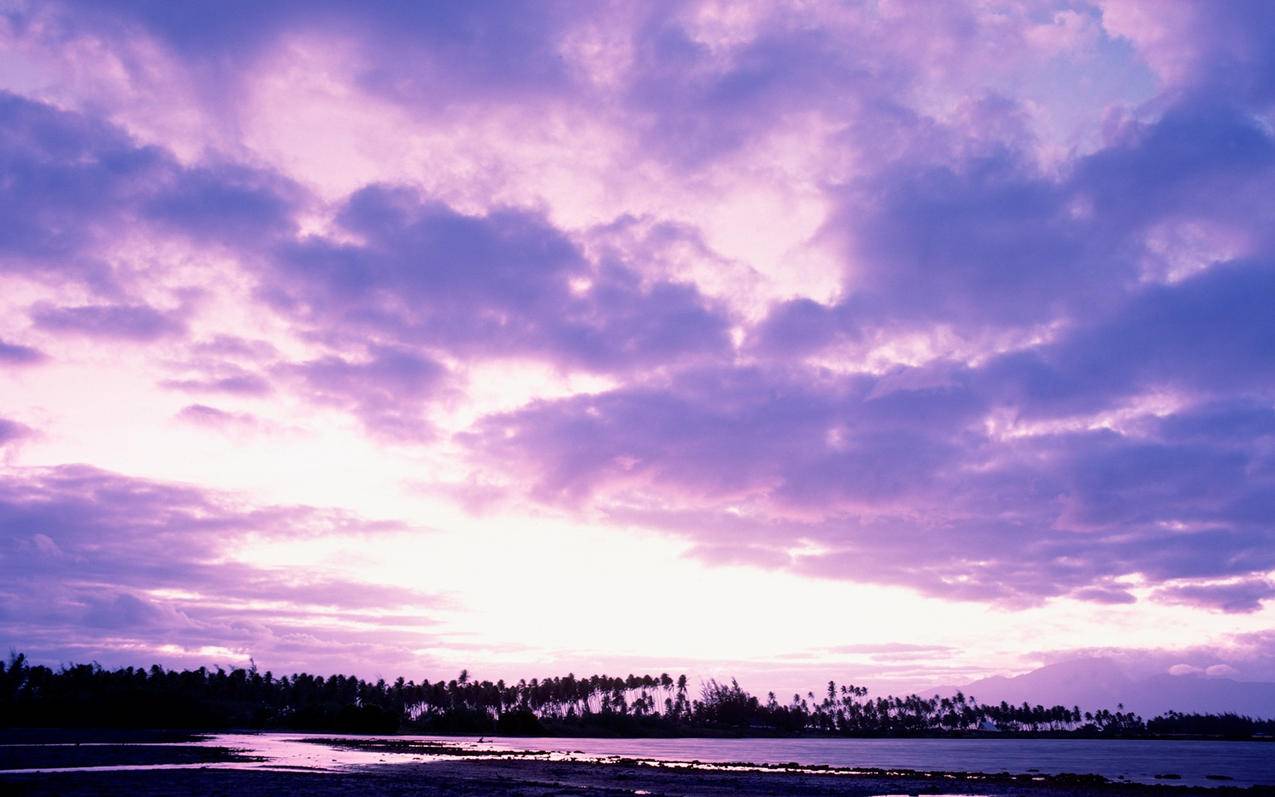 快手买热搜上热门多少钱_快手买热度链接_快手买热门有用么