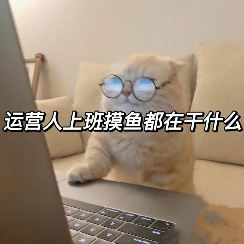 抖音状态设置不在线_如何隐藏抖音在线状态_抖音怎么隐身让别人看不到你在线