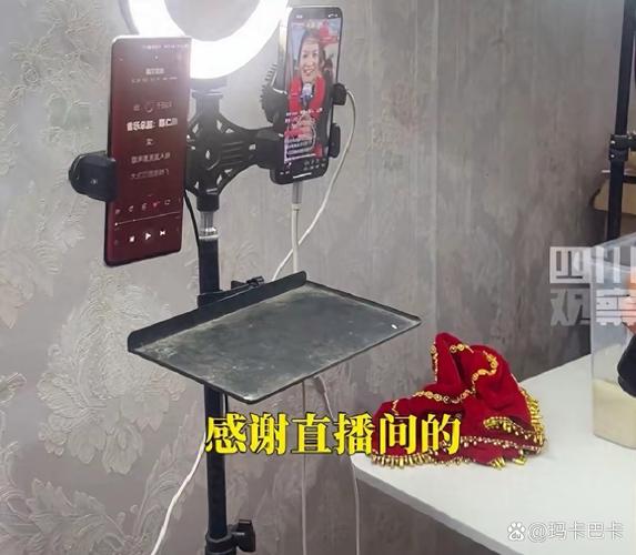 直播带货数据造假_伪造销量互动营造热销假象_代刷平台